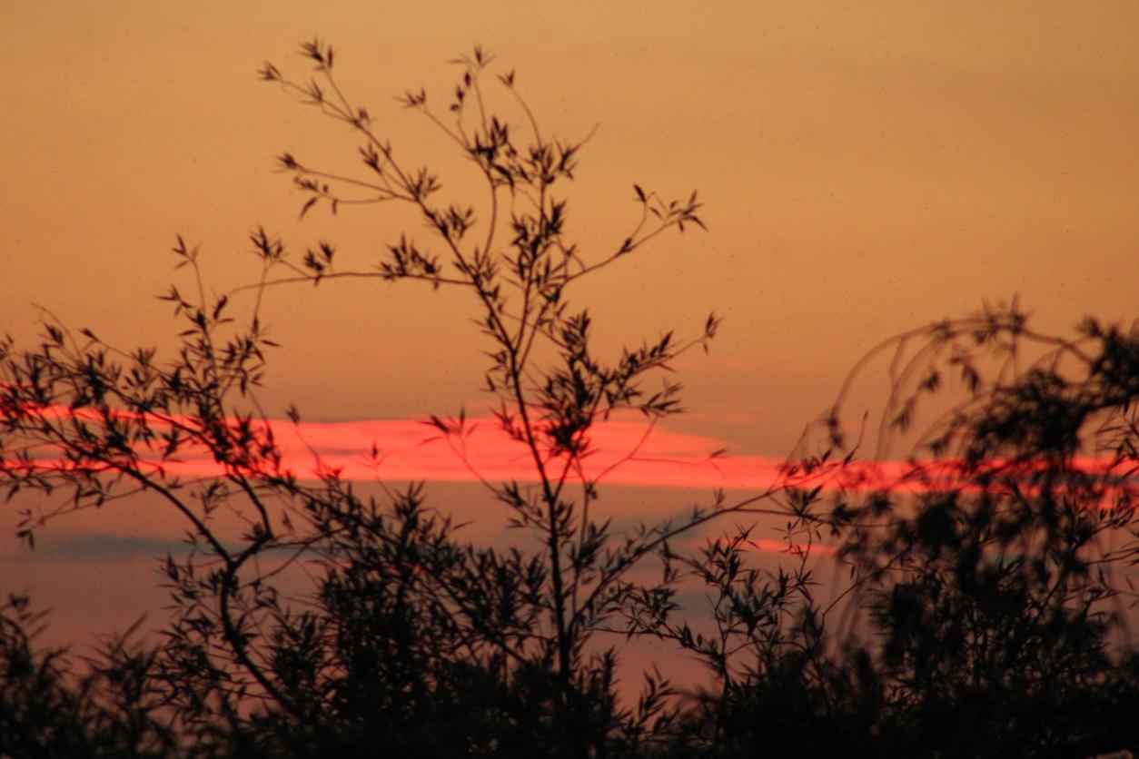 Jornada Práctica de Mindfulness - Corazón Cálido, Mente Serena Jornada Práctica de Mindfulness - Corazón Cálido, Mente Serena