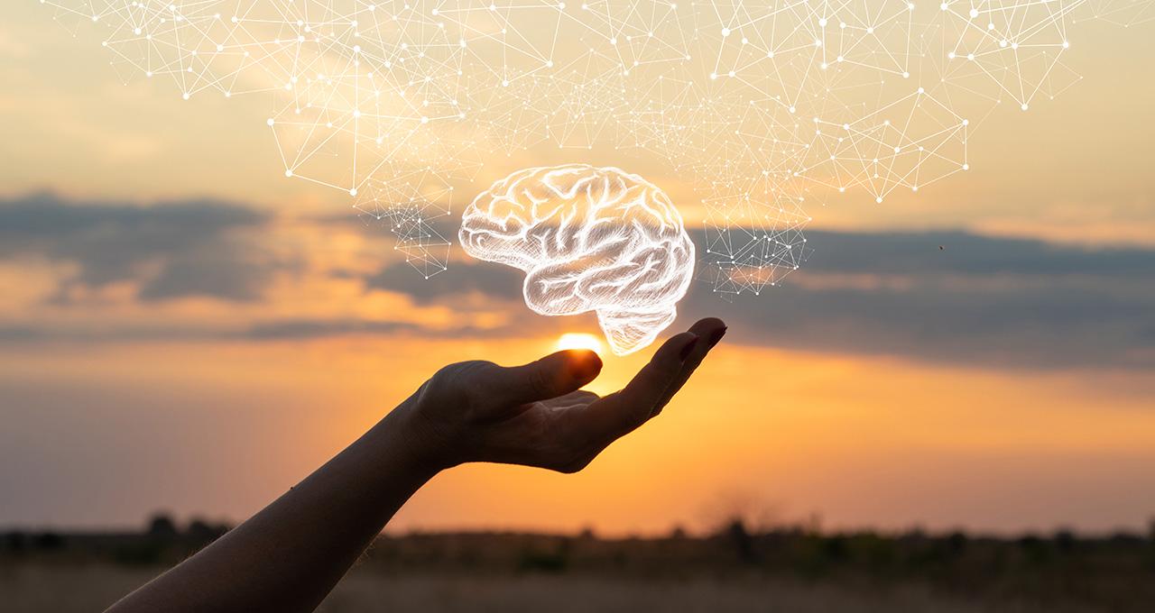 Curso Neurociencias y Salud Cerebral Curso Neurociencias y Salud Cerebral