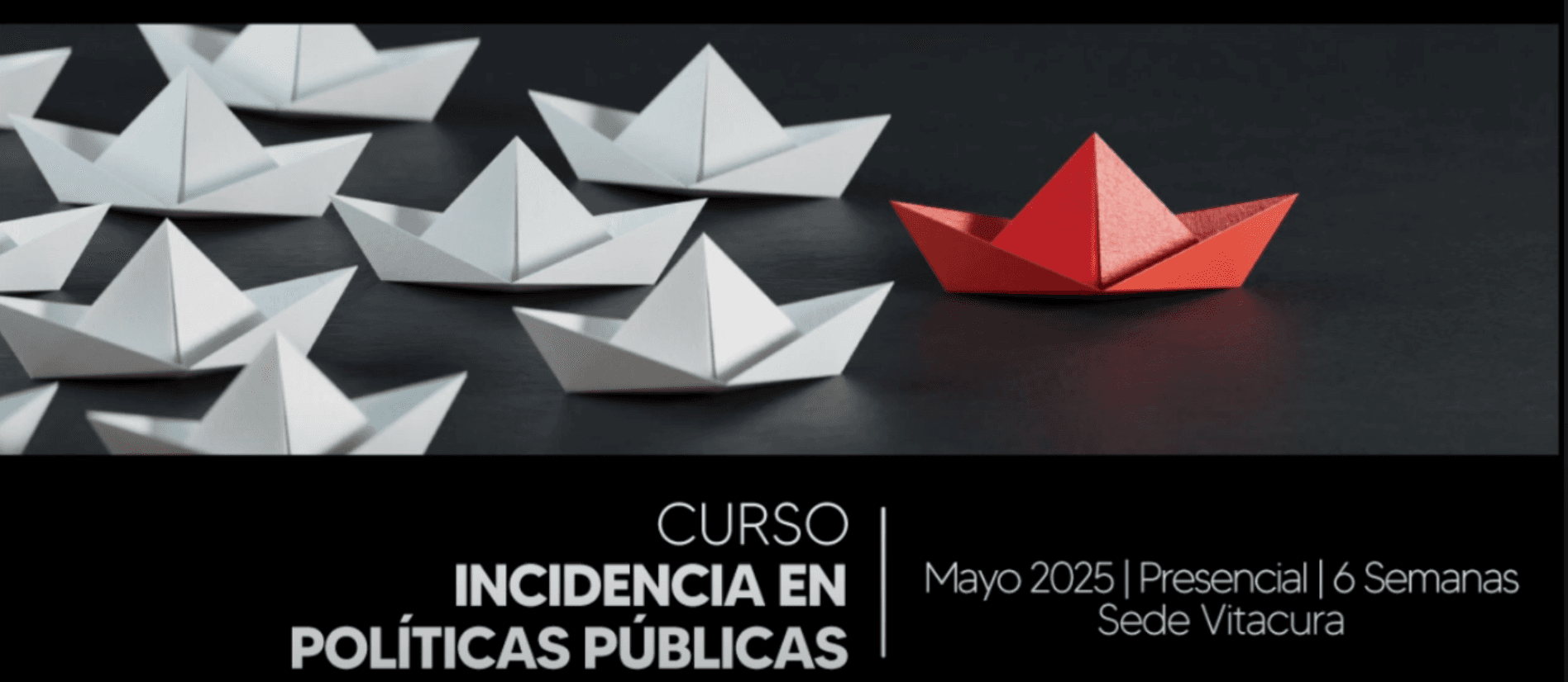 Conoce el Curso de Incidencia y Políticas Públicas en Organizaciones Sociales Curso de Incidencia y Políticas Públicas en Organizaciones Sociales