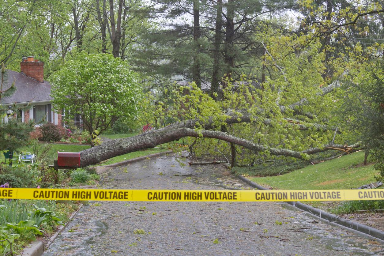Curso Resiliencia en Sistemas Eléctricos Frente a Desastres Naturales