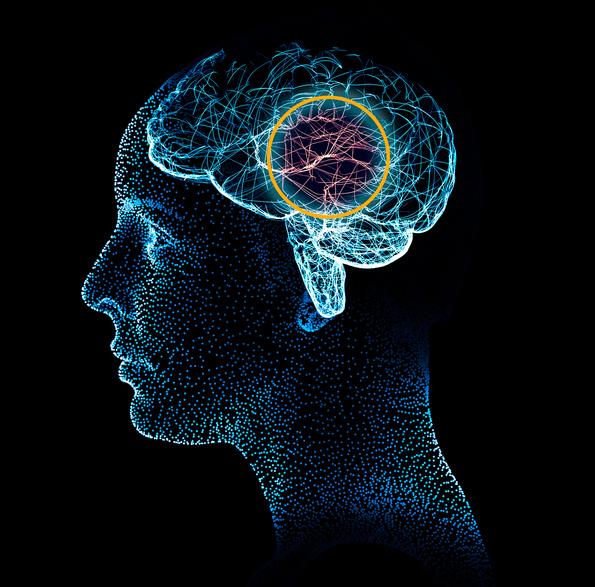Diplomado Neurociencia Social y Cognitiva Aplicada
