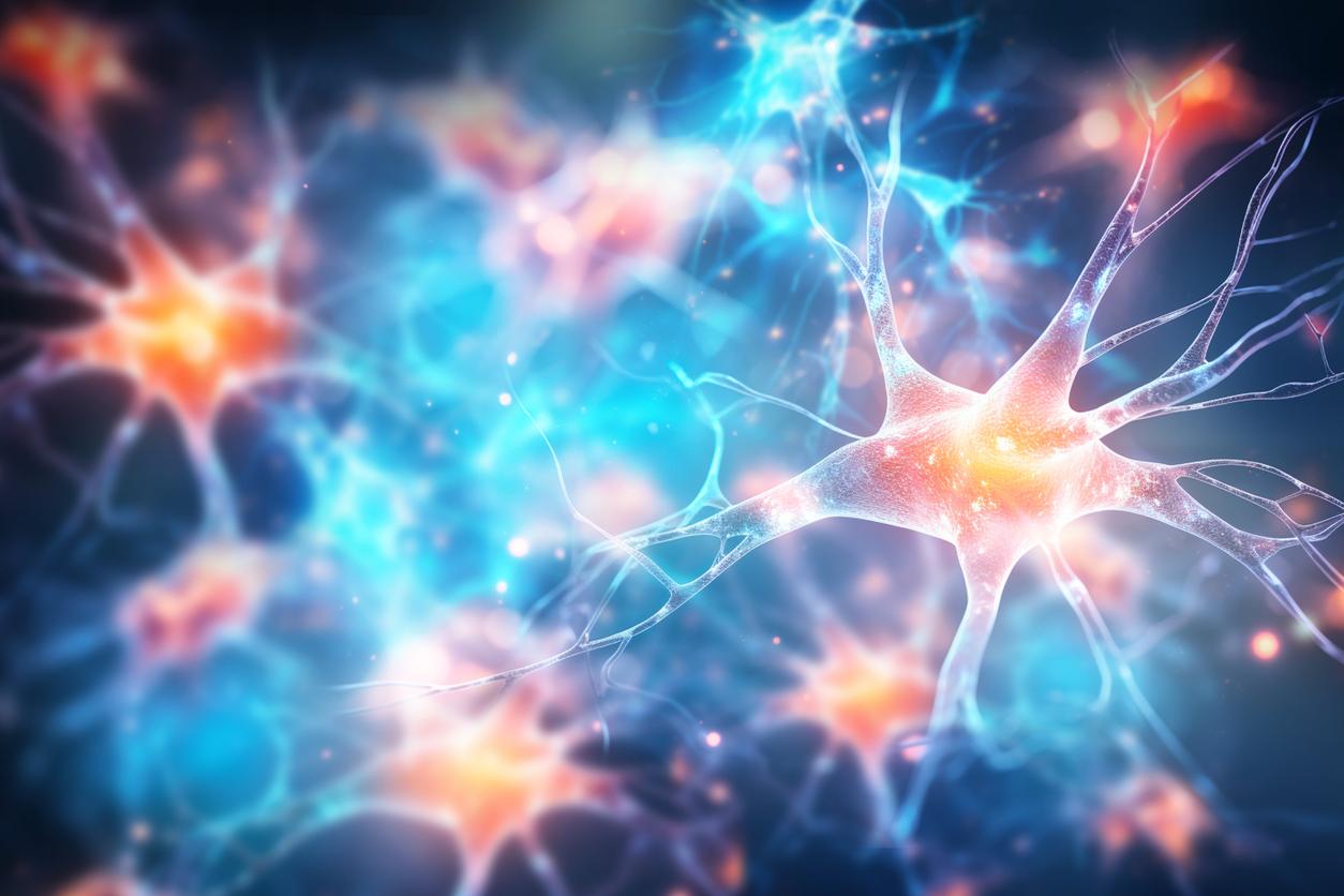 Magíster en Neurociencias Social y Cognitiva Magíster en Neurociencias Social y Cognitiva