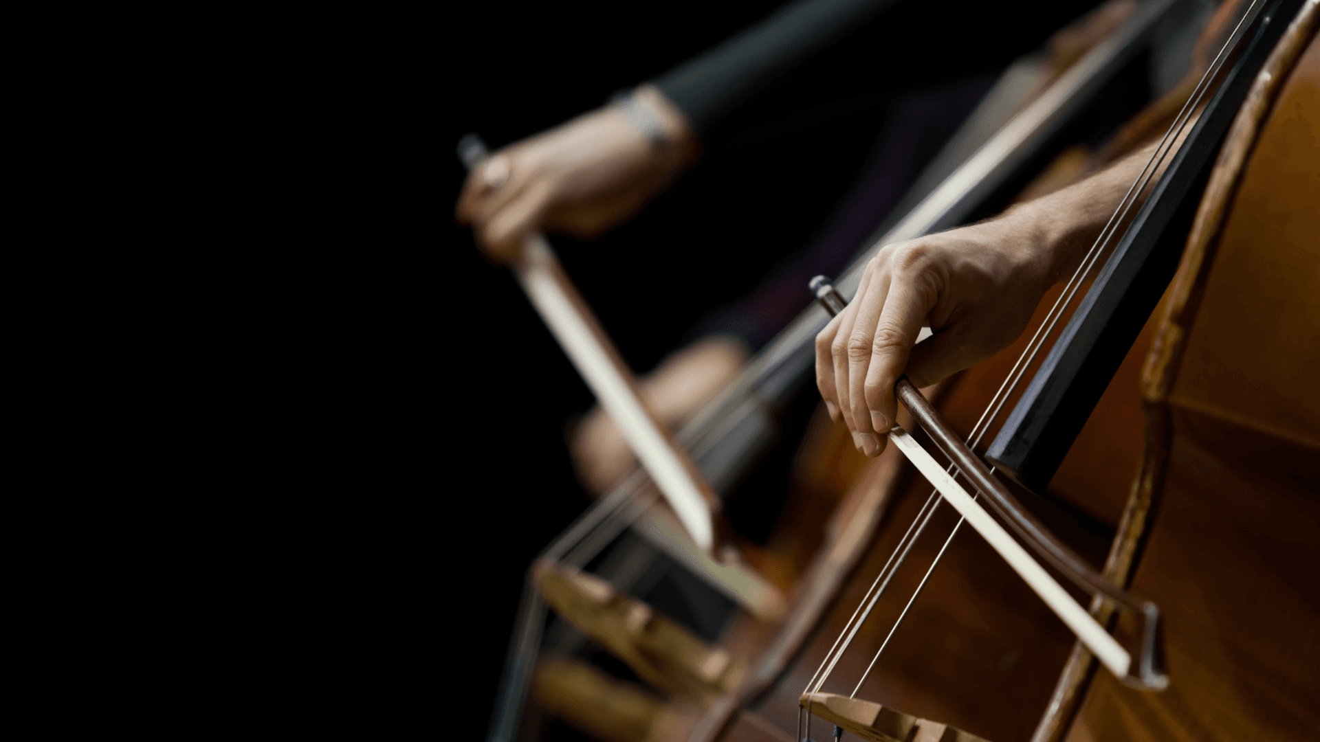 UAI lanza Camerata junto a Fundación Guitarra Viva