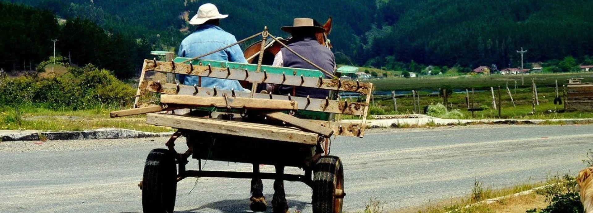 Pobreza rural en Chile 