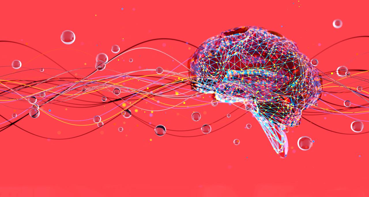 Curso Neurociencia Social: Comprendiendo el Comportamiento Humano - Online Curso Neurociencia Social: Comprendiendo el Comportamiento Humano - Online