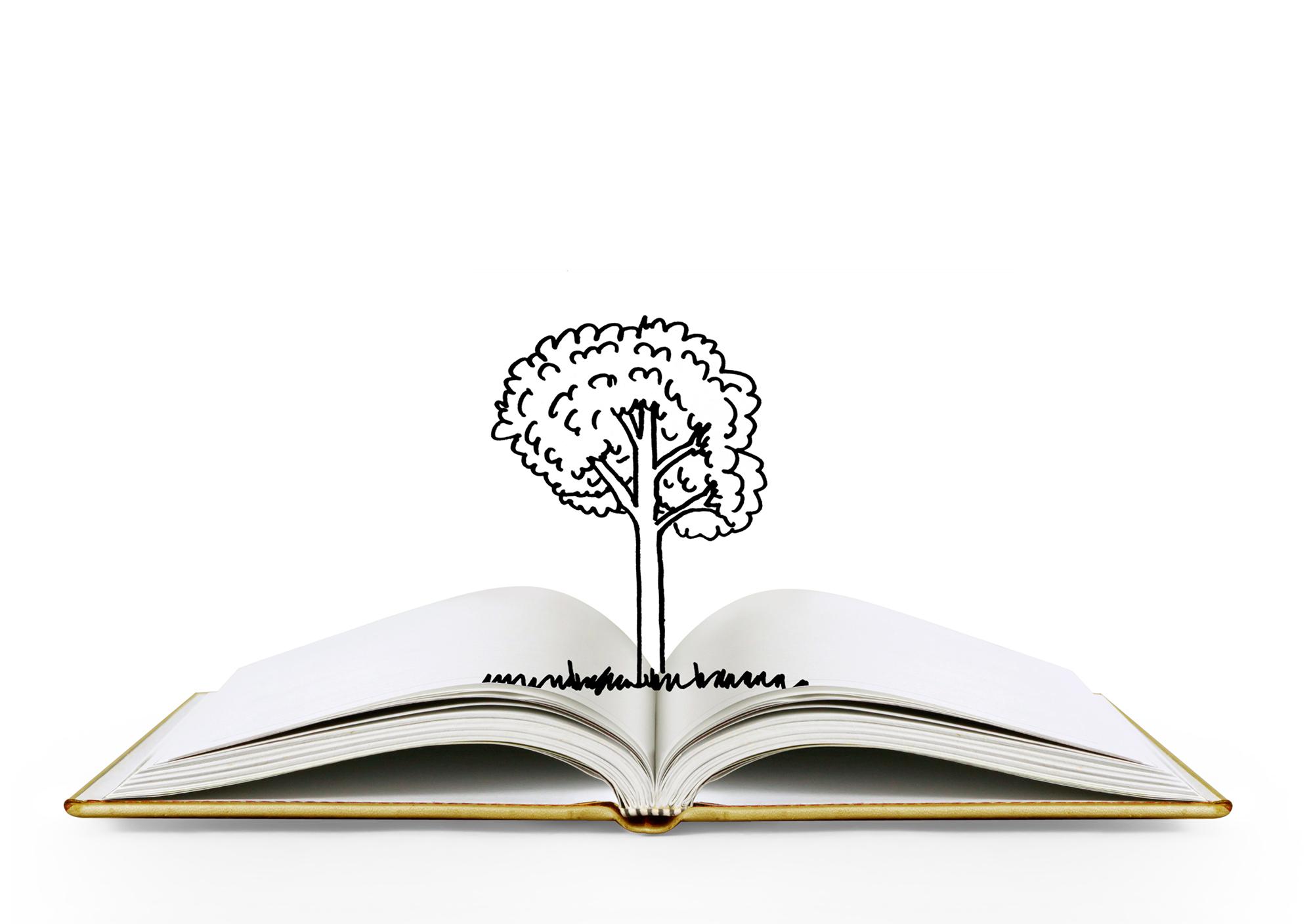 Magíster en Escritura Creativa Magíster en Escritura Creativa
