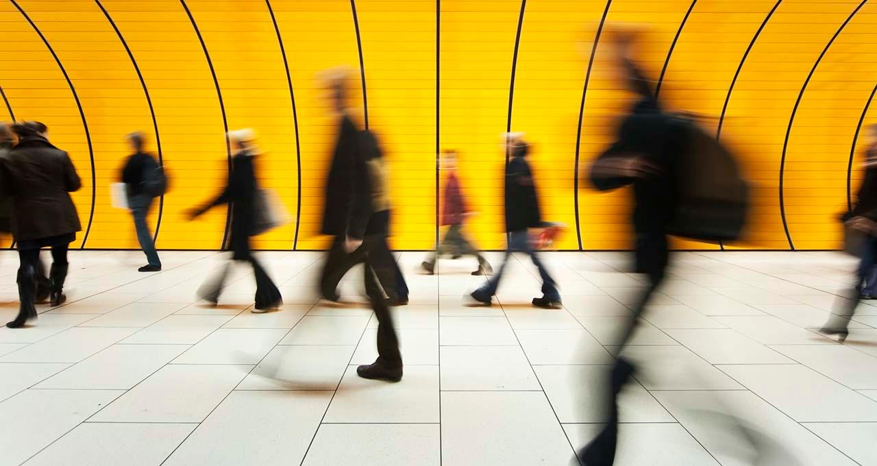 Curso Educación para la Ciudadanía - Online Curso Educación para la Ciudadanía - Online