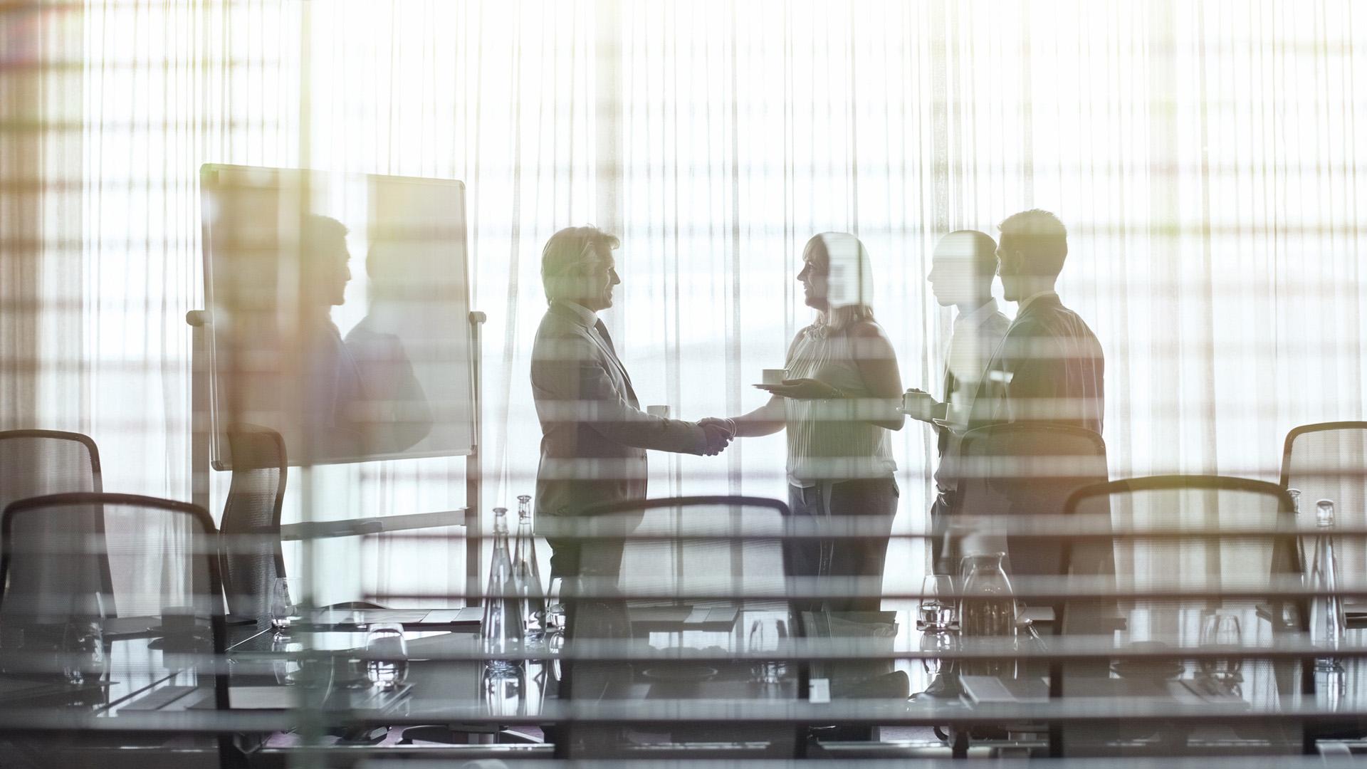 Professional Certificate en Fundamentos del Gobierno Corporativo y Gobernanza Professional Certificate en Fundamentos del Gobierno Corporativo y Gobernanza