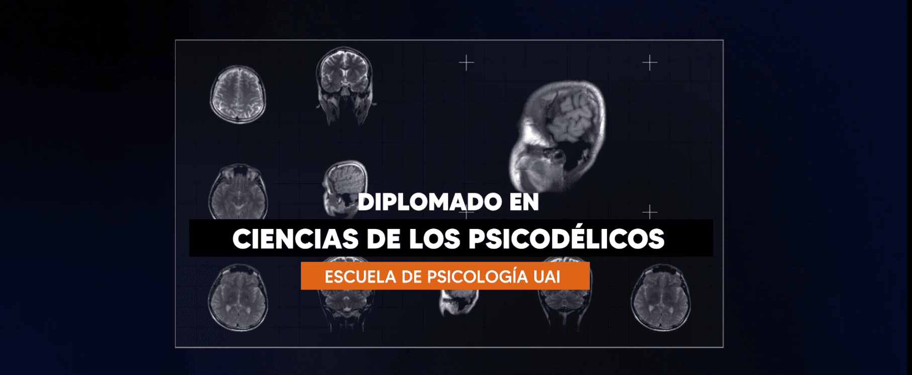 Conoce el Diplomado en Ciencias de los Psicodélicos: Neurociencias, Terapia y Sociedad Diplomado en Ciencias de los Psicodélicos: Neurociencias, Terapia y Sociedad