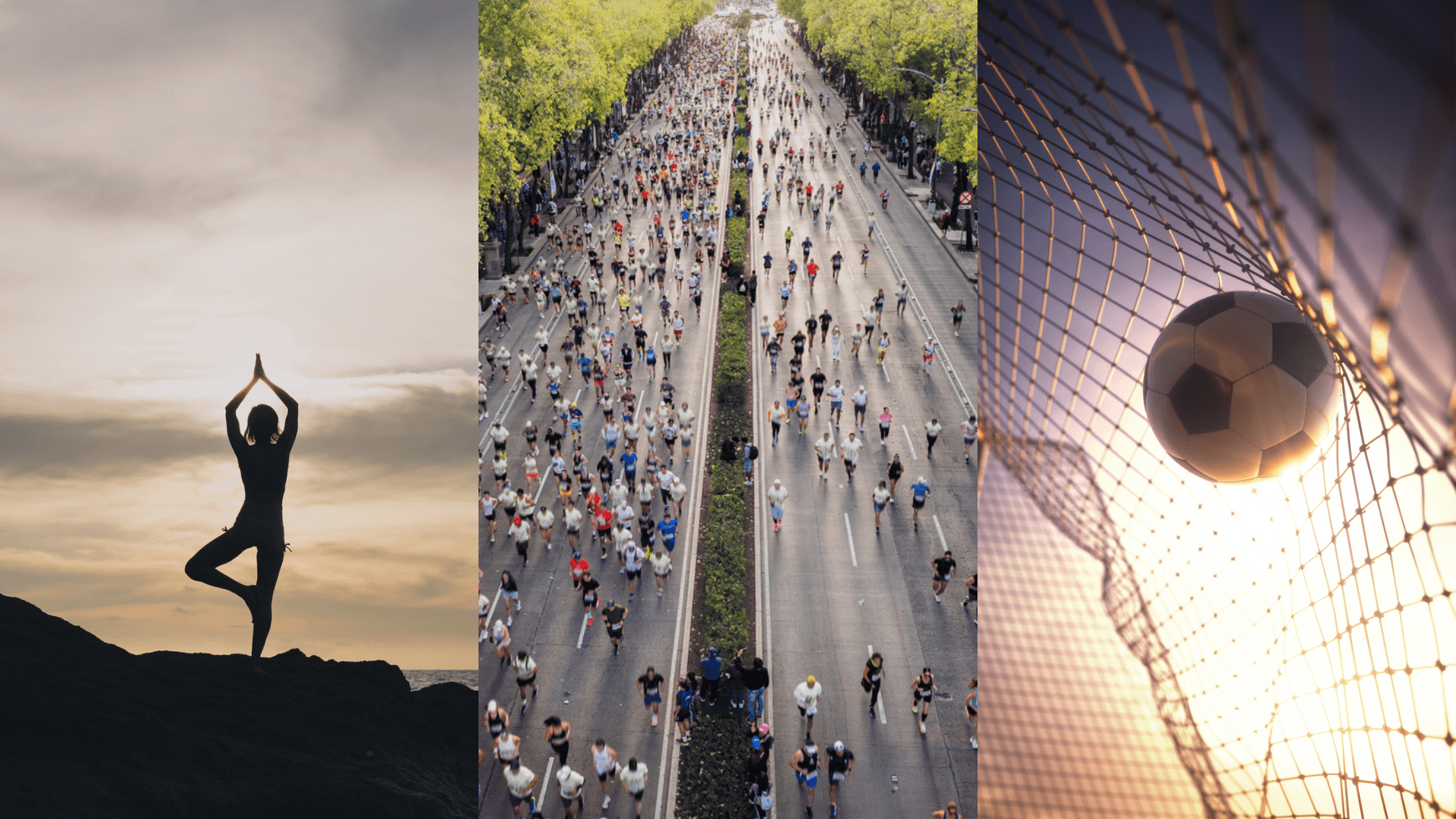 Certificado en Estrategia de Negocios en el Deporte y la Vida Saludable Certificado en Estrategia de Negocios en el Deporte y la Vida Saludable