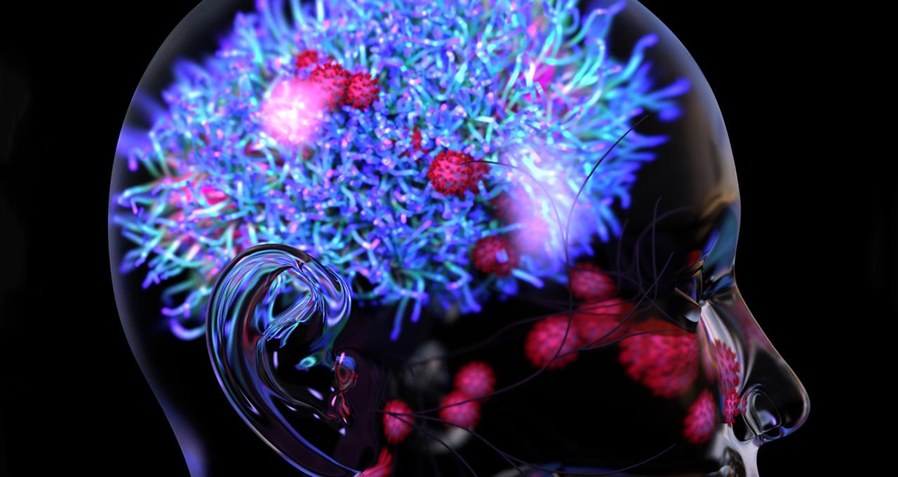 Curso Introducción a las Neurociencias Cognitivas - Online Curso Introducción a las Neurociencias Cognitivas - Online