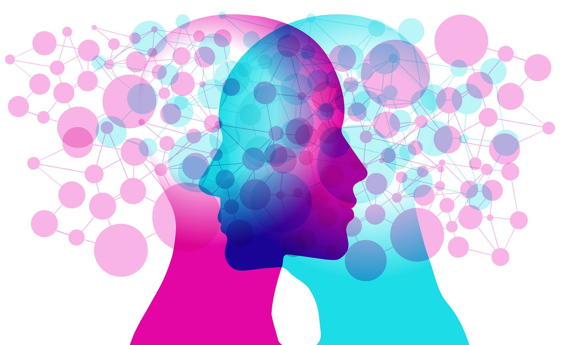 Diplomado en Ciencias Cognitivas y Neurociencia Social Diplomado en Ciencias Cognitivas y Neurociencia Social